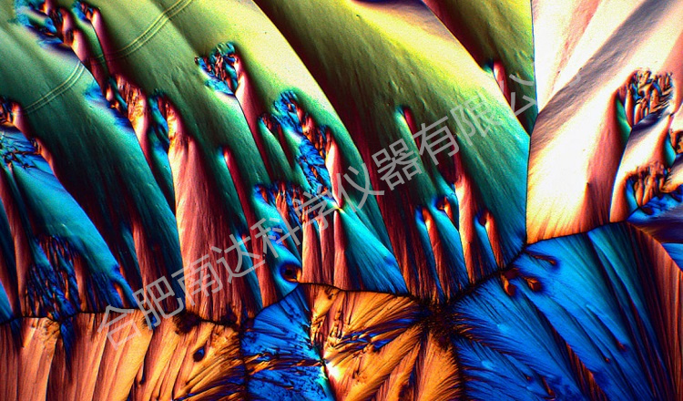 MOTIC BA310POL偏光顯微鏡100x成像